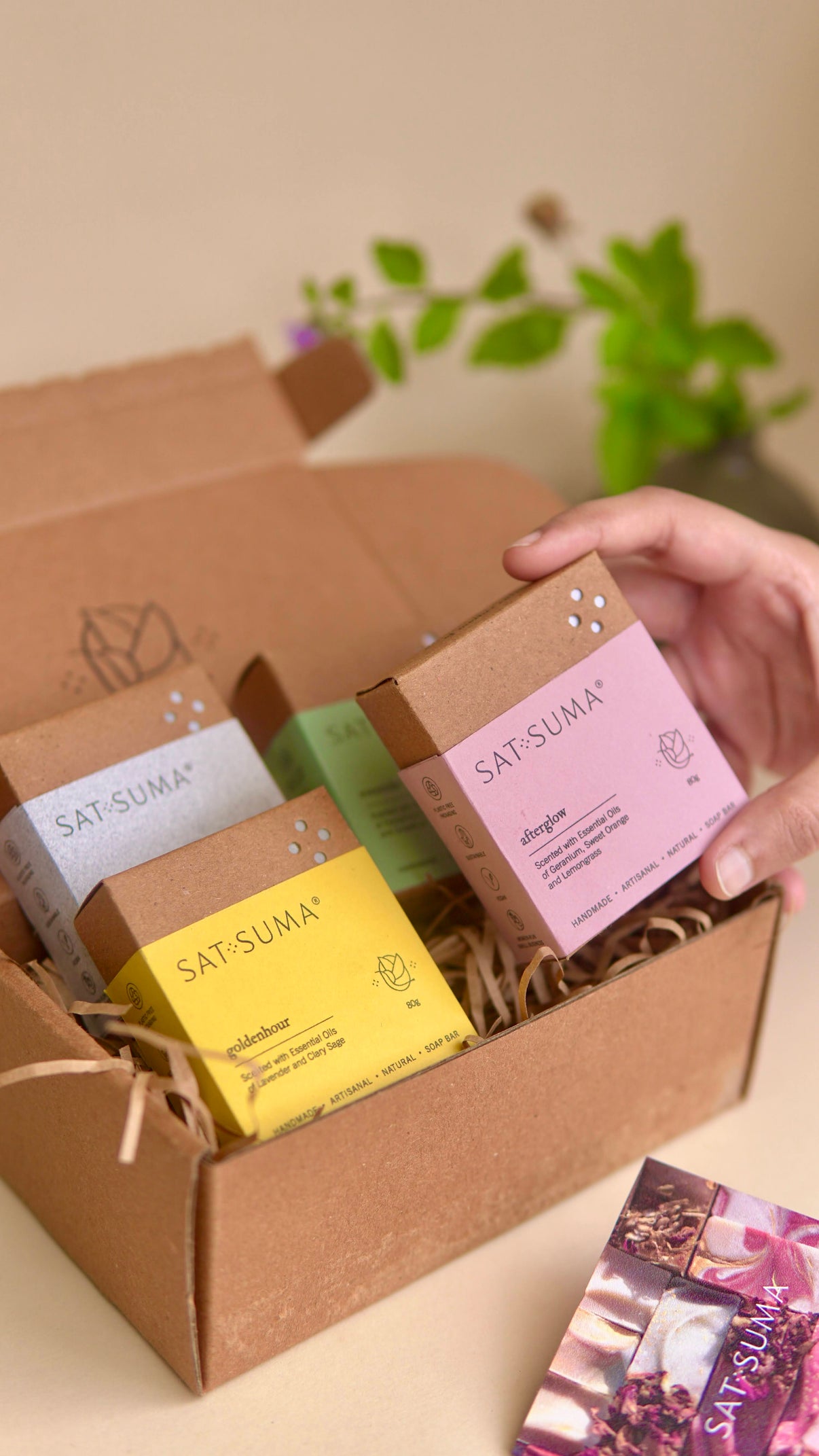 The Dailies Bundle | Set of 4 – Sat.Suma