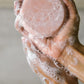 Solstice Shampoo Bar